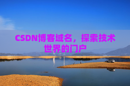 CSDN博客域名，探索技术世界的门户